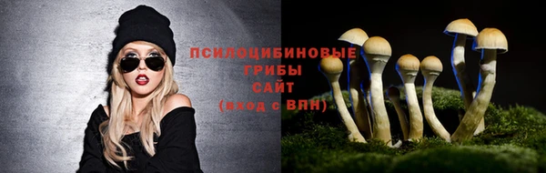 соль курить ск Богданович