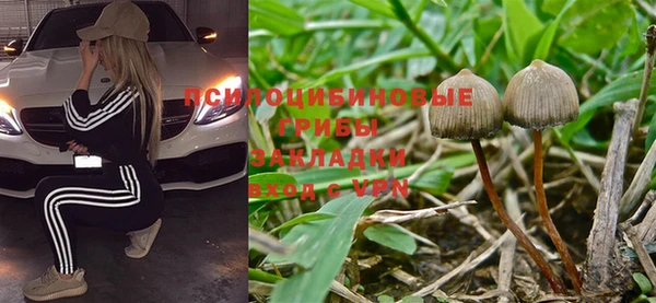 соль курить ск Богданович