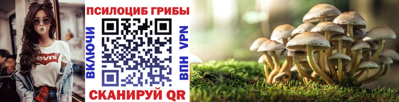 Галлюциногенные грибы MAGIC MUSHROOMS  купить наркоту  Шиханы 